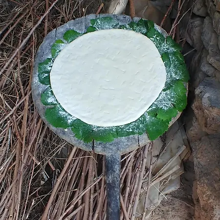 Konukevi Toma *